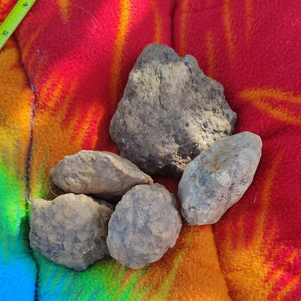 Geodes Natural Brown Rocks Collection - Picture 4 of 5